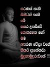Budda 10